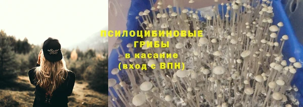 герыч Арсеньев