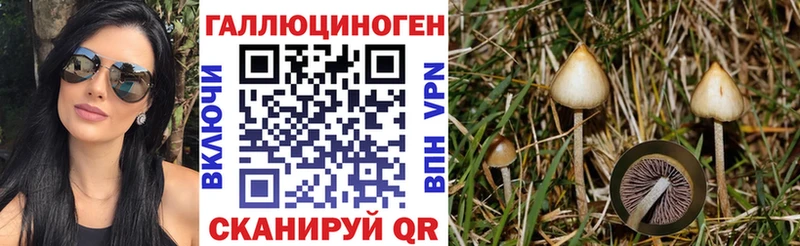 купить  цена  Льгов  Псилоцибиновые грибы Magic Shrooms 